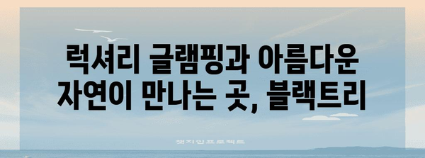 자연 속에서 즐기는 글램핑 | 대부도 블랙트리 안내서