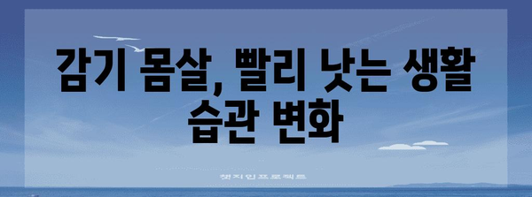 감기 몸살 신속 타파법 | 효과적인 치료법