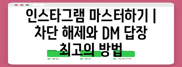 인스타그램 마스터하기 | 차단 해제와 DM 답장 최고의 방법