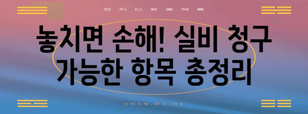 연말정산 후 실비 청구 꿀팁| 놓치기 쉬운 항목까지 완벽 정복 | 실비보험, 연말정산, 환급, 절세