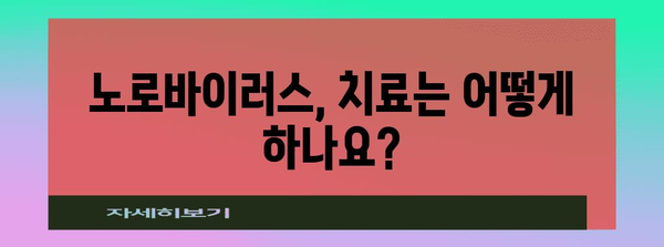 노로바이러스 공포 해소 | 원인, 증상, 치료까지 완벽 가이드