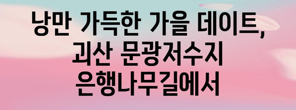 가을 나들이 필수 코스 | 괴산 문광저수지 은행나무길