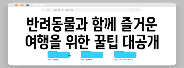 진에어 반려동물 동반 여행 가이드 | 애완동물과 함께 편안하게