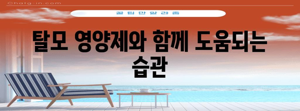 탈모 치료제 대신 영양제 활용 가이드 | 효과적 선택을 위한 정보