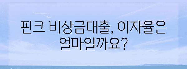 핀크 비상금대출 생활비 대출 상세 가이드 | 자격, 한도, 신청 방법