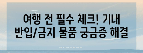 기내 반입/금지 물품 궁금증 풀어드림!