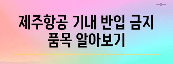 제주항공 기내 수하물 규정 가이드 | 무엇을 가져갈 수 있나요?