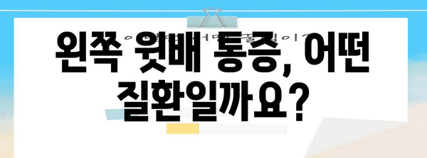 왼쪽 윗배 통증 | 증상, 진단, 치료 방법