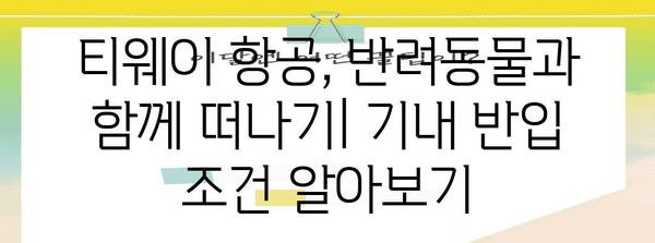 티웨이 펫 캐리어 기내 반입 가능 여부 확인