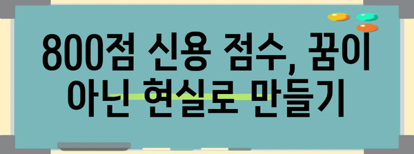 신용 점수 800 달성 가이드 | 탁월한 신용을 위한 실천 지침