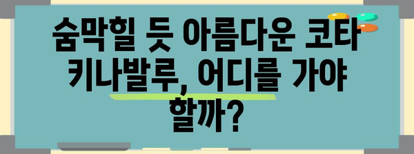 코타 키나발루 3박 4일 자유여행 완벽 가이드 | 추천 코스, 액티비티, 맛집, 쇼핑