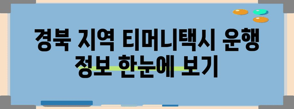 경북에서 티머니택시 활용하기 | 편리함과 혜택 가이드