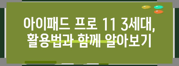 완벽한 안내자 | 아이패드 프로 11 3세대 모델 비교 및 추천