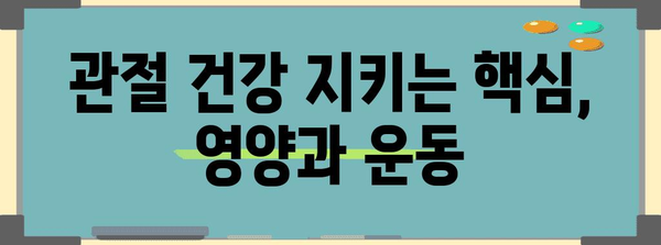 관절 노화 대비 | 여성 필수 관절 건강 완벽 가이드