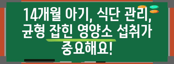 14개월 아기 필수 영양소 가이드 | 건강한 성장을 위한