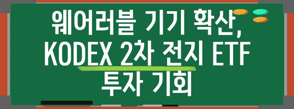 KODEX 2차 전지 ETF | 웨어러블 산업 성장 활용