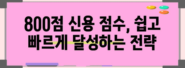 신용 점수 800 달성 가이드 | 탁월한 신용을 위한 실천 지침