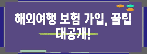 해외여행 보험 비교 가이드 | 안전하고 편안한 여행을 위해