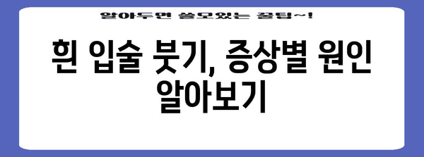 흰 입술 붓기 | 주요 원인과 효과적 대처법
