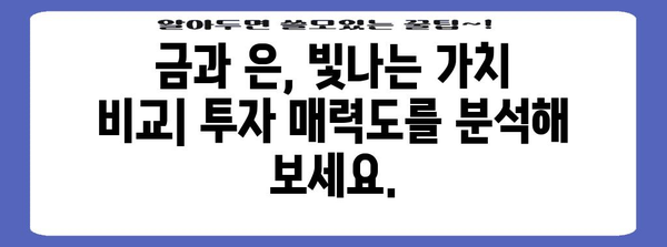금, 은 시세 비교 분석 | 국내외 시세 동향과 투자 전략