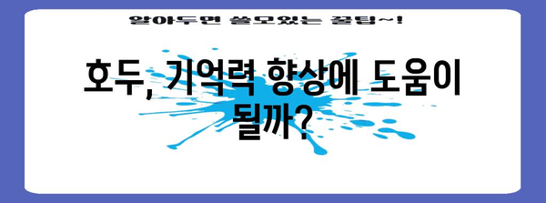 호두를 활용한 뇌 건강 지키기 | 5가지 효과적 방법