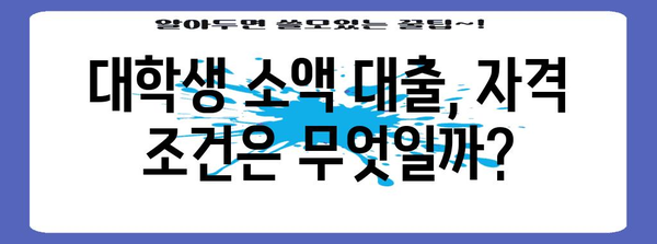 대학생 소액 대출 | 자격, 최고 업체, 신청 방법
