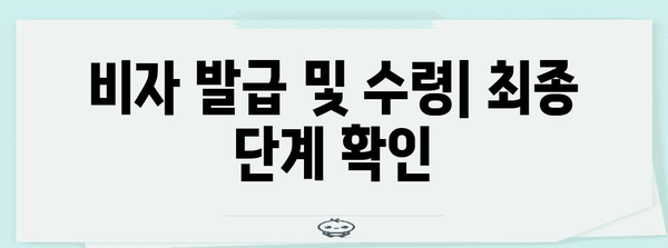 미국 비자 신청 단계별 가이드 | 필수 정보 및 팁