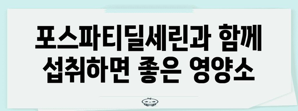 뇌 건강 필수 영양제 | 포스파티딜세린 효능과 권장 사항