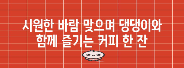 애견 친화 카페 | 대부도에서 즐기는 바다를 바라보며