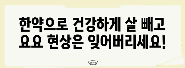 한약 감량, 요요 현상과 안녕하자! 천안 한의원 꿀팁