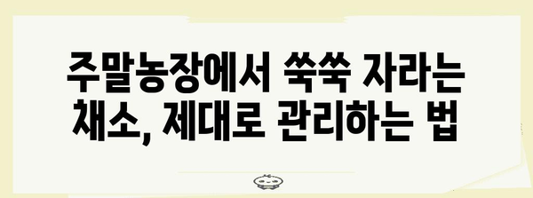 정원에 가득 채우기! 주말농장에서 키우는 채소 가이드