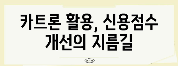 신용점수 향상 노하우 | 카트론 활용 전략