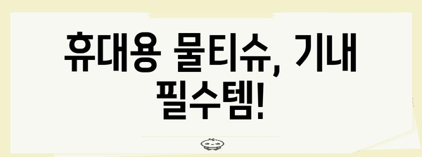 기내 물티슈 무제한 반입법 | 편안한 여행에 필수