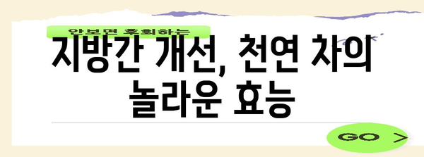 지방간 예방 및 개선을 위한 천연 차류 | 종류와 효과