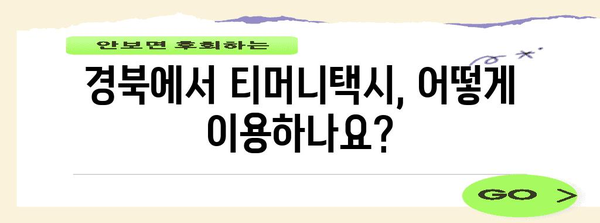 경북에서 티머니택시 활용하기 | 편리함과 혜택 가이드