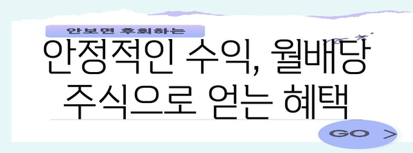 미국의 안정적인 수익원 | 월배당 주식 투자 전략