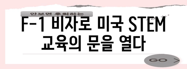 F-1-5 비자 신청 단계별 안내, STEM 교육을 위한 미국 진출법