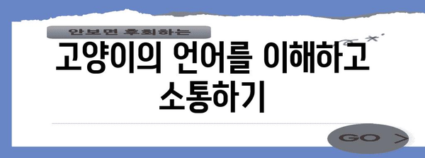 고양이와 친구 되기 | 안전한 상호 작용 가이드