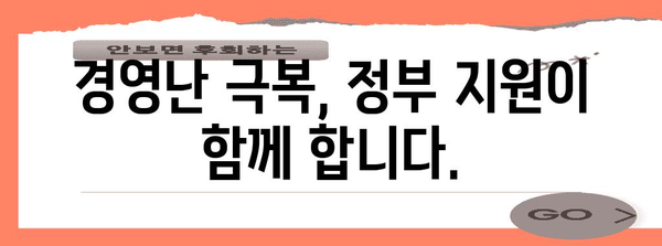 정부 정책자금 지원 | 일반경영안정자금 출범안내