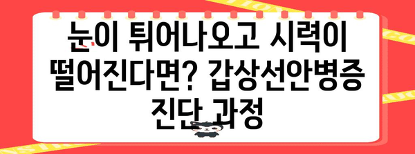 갑상선안병증 완벽 가이드 | 진단, 치료, 안와감압술까지