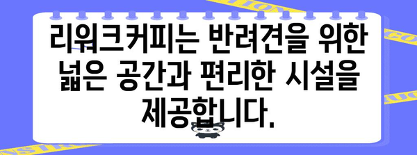 부평 애견 동반 카페 리워크커피 | 댕댕이와 함께 힐링 타임