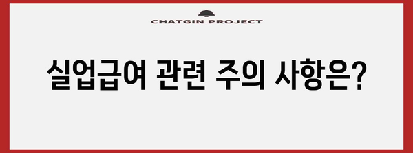 실업급여 초보 가이드 | 대상자, 금액, 신청 절차 총정리