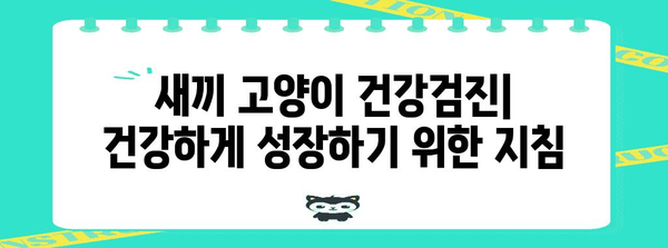고양이 건강검진 가이드 | 나이별 체크리스트와 팁
