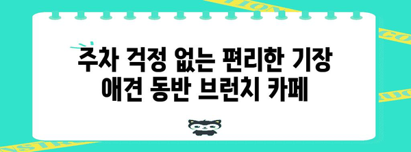 기장 애견 동반 브런치 카페 추천 | 주차 편리한 곳 5곳