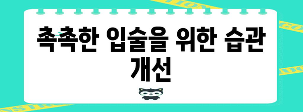 입술 부르틈 원인과 해결법 | 치유부터 예방까지의 완벽 가이드