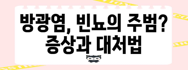 빈뇨의 원인과 예방법 가이드 | 방광염 대처법