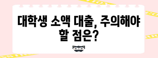 대학생 소액 대출 | 자격, 최고 업체, 신청 방법