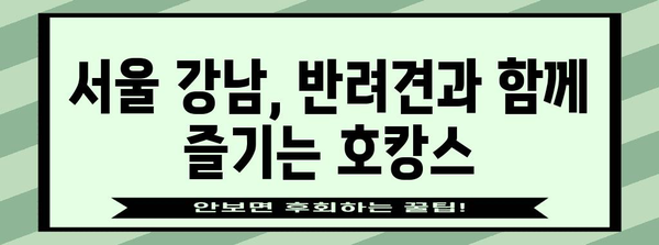 애견과 함께하는 서울 호캉스 | 강남 애견 동반 카페 5선