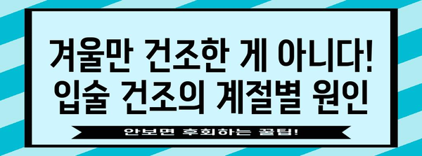 입술 건조에 숨은 원인 | 진실 파헤치기