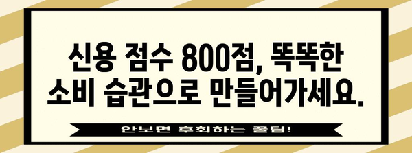 신용 점수 800 달성 가이드 | 탁월한 신용을 위한 실천 지침